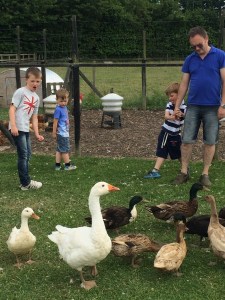 50aec1e4bc52c1dcfa8f1da41b1e417b